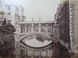 My year at Cambridge 